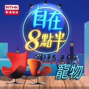 自在8點半 - 寵物