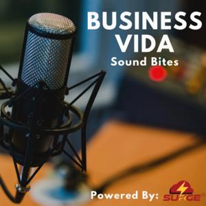 Business Vida by Surge