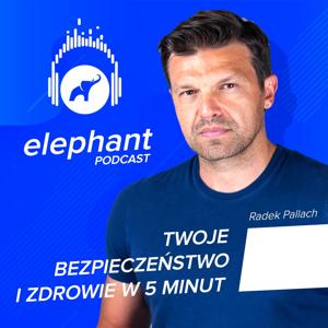 Elephant Smart Safety Podcast