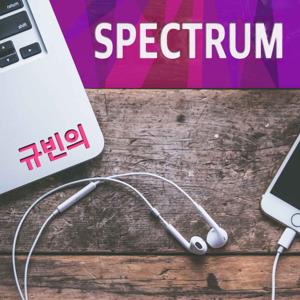 규빈의 SPECTRUM