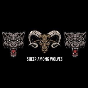 Sheep Among Wolves Podcast