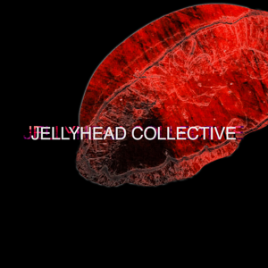 Jellyhead Podcast