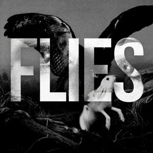 Flies