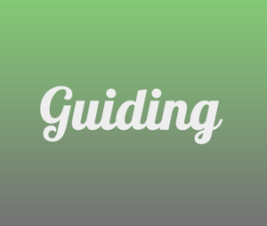 Guiding Green