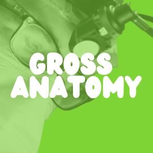 Gross Anatomy