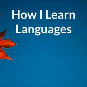 How I Learn Languages