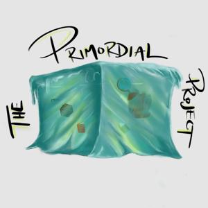 The Primordial Project