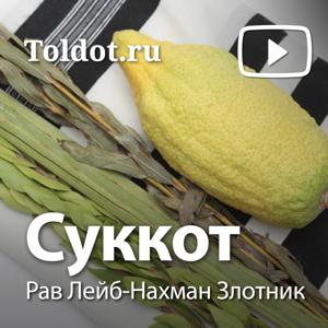 Рав Лейб-Нахман Злотник  — Суккот