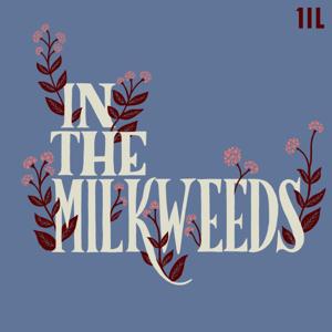 In The Milkweeds