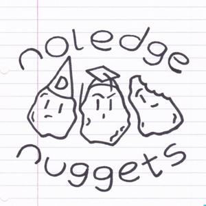 Noledge Nuggets