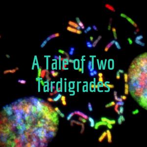 A Tale of Two Tardigrades