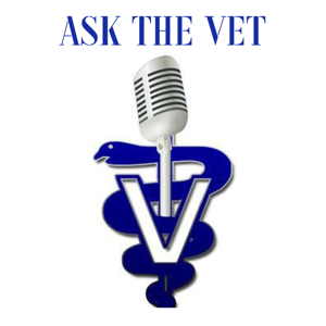 Ask the Vet