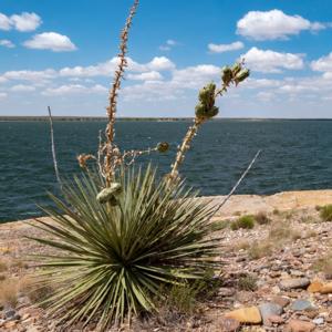 Southeast Colorado Reflections of Faith