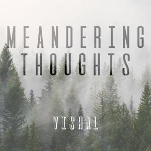 Meandering Thoughts