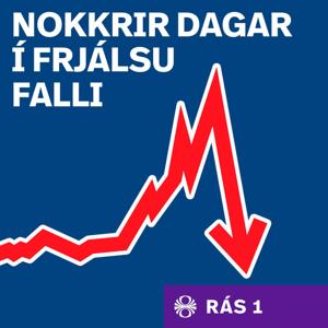 Nokkrir dagar í frjálsu falli
