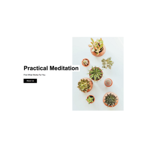 Practical Mindfulness Meditations