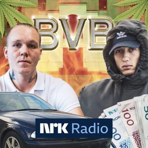 Barnevernsbanden