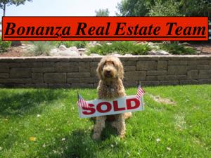 Bonanza Real Estate Team