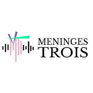 Meninges Trois