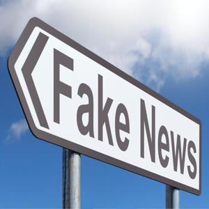 Fake Observer