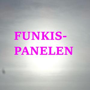 Funkispanelen