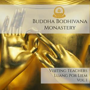 Visiting Teachers - LP Liem Vol.1