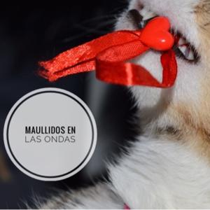 Maullidos en las Ondas by Maullidos en las Ondas