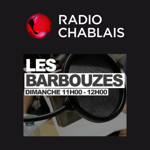 Les Barbouzes