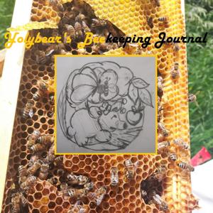 Yolybear's Journal Beekeeping Pottery and Essential oils.