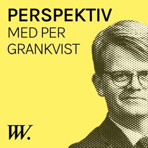 Perspektiv - med Per Grankvist by Vad Vi Vet.