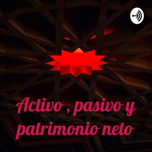 Activo , pasivo y patrimonio neto
