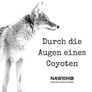 Durch die Augen eines Coyoten