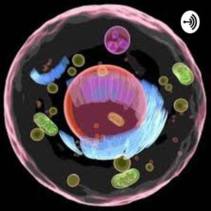 Cell Organelle Campaigns