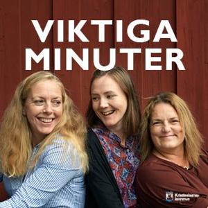 Viktiga minuter