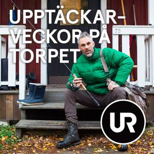 Upptäckarveckor på torpet