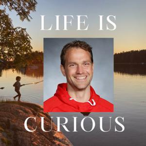 Life is Curious