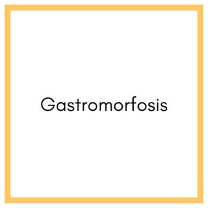 Gastromorfosis