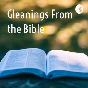 Gleanings From the Bible