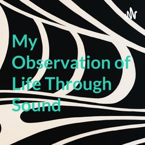My Observation of Life Through Sound