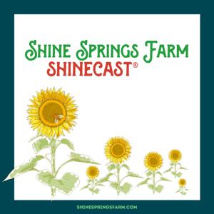 Shine Springs Farm Shinecast