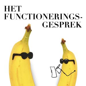 Het Functioneringsgesprek