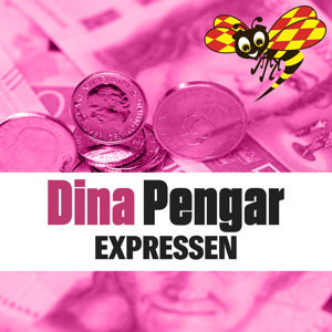 Dina Pengar