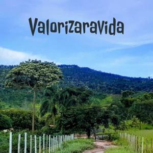 Valorizaravida