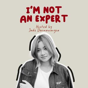 I'm Not An Expert