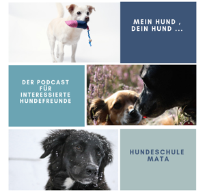 MEIN HUND , DEIN HUND ... der Podcast für interessierte Hundefreunde ...