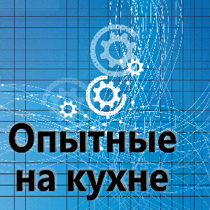 Научно-популярное шоу «Опытные на кухне»