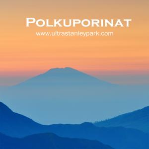 Polkuporinat