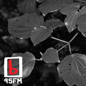 95bFM: Natural Ange