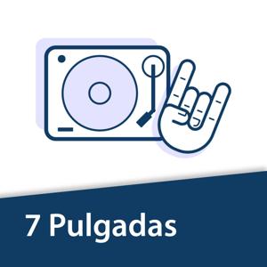 7 Pulgadas | T01