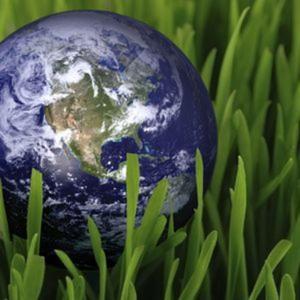 Socially Conscious Investing